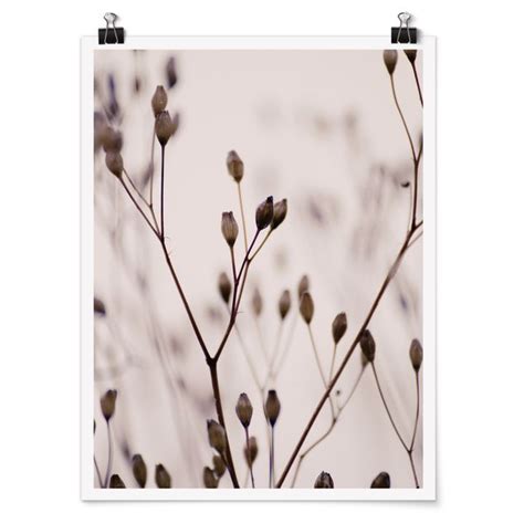 Dunkle Knospen Am Wildblumenzweig Poster Im Hochformat Bilderwelten