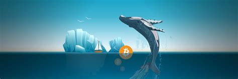 Crypto Whale Alerts (@WhaleAlertsBTC) / Twitter