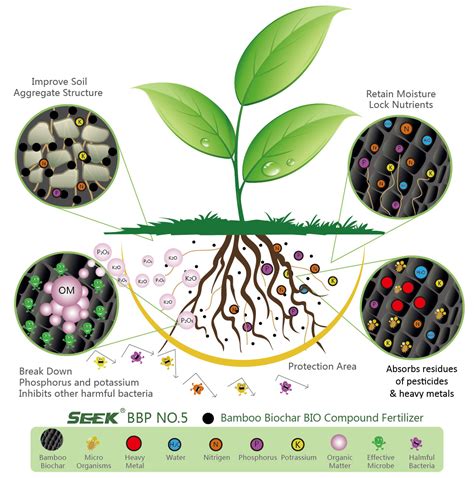 Biochar Compound Fertiliser