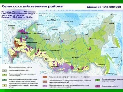 Сельское хозяйство россии карта россии