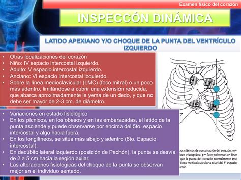 Examen F Sico Del Coraz N Ppt