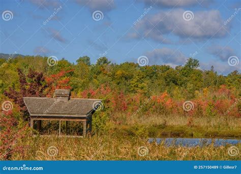 Beautiful Fall Colors In The Canadian Countryside Stock Image Image