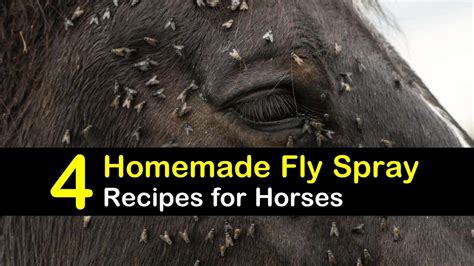 homemade horse fly spray with avon skin-so-soft - Meda Cooney