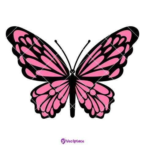 Butterfly Svg Cut File Cricut Png Vector Vectplace