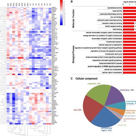 Proteomic Analysis Of Follicular Fluid Exosomes Derived From Normal And