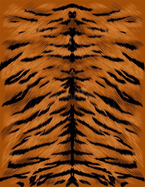 Tiger Fur Texture Sketch Vector Stock Vector - Illustration of skin ...