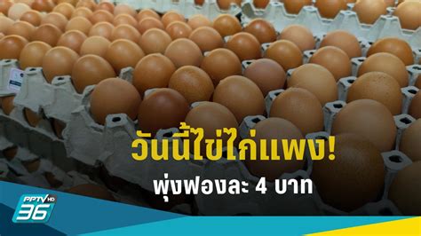 วันนี้ไข่ไก่แพง ราคาฟองละ 4 บาท ต้นทุนพุ่งรอบด้านกดผลผลิต Pptvhd36