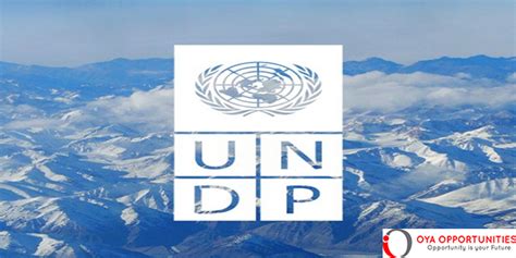 Undp Executive Assistant To The Drr Paid Internship Apply Now