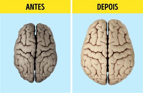 Estudo Mostra Como Reverter O Envelhecimento Do C Rebro De Forma F Cil