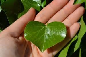 Why Travel Is Better Than Sex