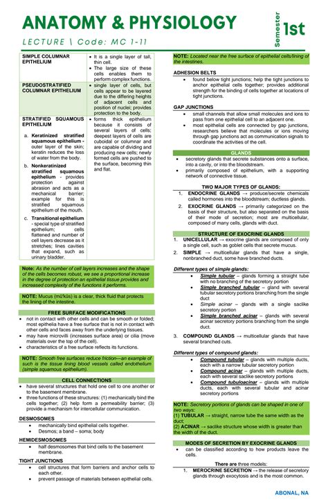 SOLUTION: Chapter 4 tissue anatomy and physiology - Studypool