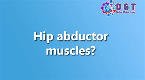 Hip Abductor Muscles? - Digital Global Times