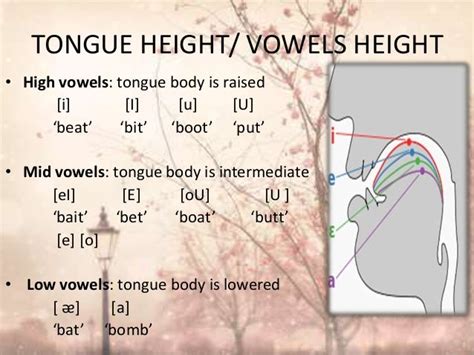 Producing Vowels