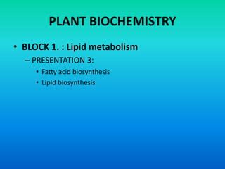 Lipid Metabolism Anabolism Ppt