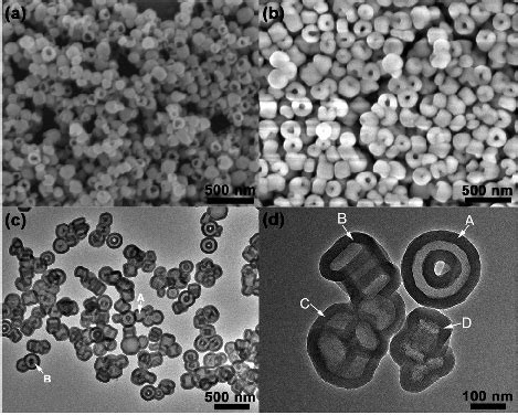 A SEM Image Of A Fe 2 O 3 Nanorings B SEM Image Of SiO 2 Coated