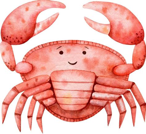 Cartoon Crab Wall Decal Watercolor Crab Sea Creature Wall Etsy