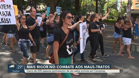 Grupo Faz Passeata Em Campinas Contra Maus Tratos Aos Animais