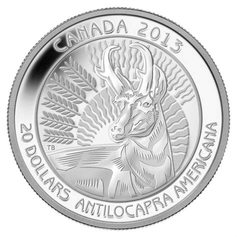 Canadian 20 Dollar Silver Coin Value - DOLLFE