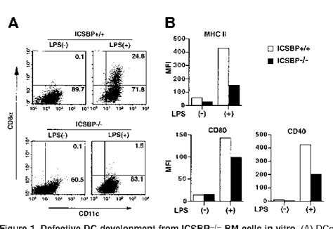 Figure From In Vitro Icsbp Irf Retrovirus Transduction Rescues