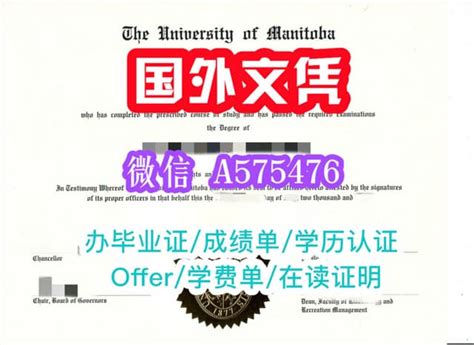 一比一原版不列颠哥伦比亚大学毕业证学位证书 Ppt