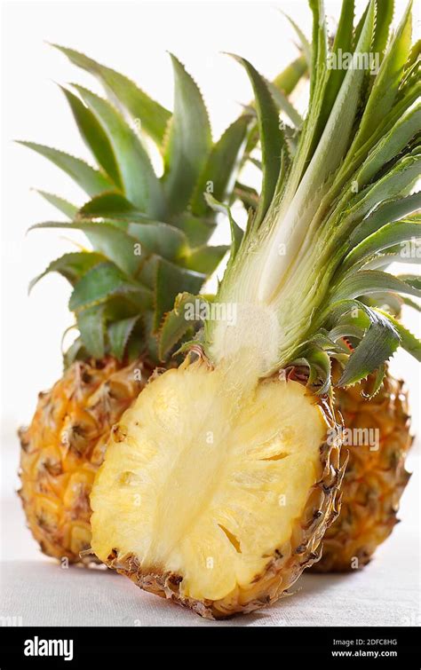 Pineapple Queen Victoria Stock Photo - Alamy