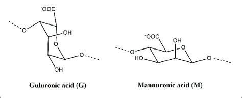 Molecular Structures Of α L Guluronic Acid G And β D Mannuronic Download Scientific Diagram