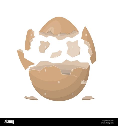 Broken Egg Isolated On A White Background Farm Chicken Eggshell