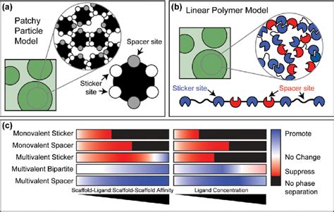 Coarse Grained Models Have Yielded Predictive Rules Regarding The Download Scientific Diagram