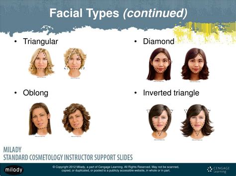 Ppt Chapter 14 Principles Of Hair Design Powerpoint Presentation