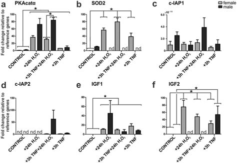 Quantitative polymerase chain reaction revealed sex specific NF κB p65