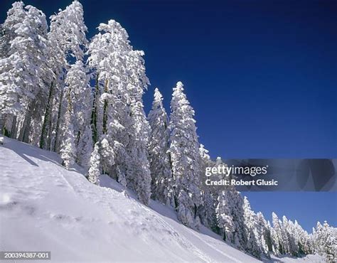 Mt. Ashland Oregon Photos and Premium High Res Pictures - Getty Images