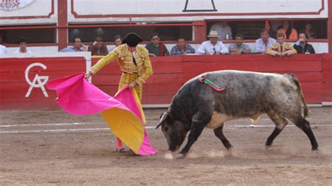 Corridas De Toros Y Peleas De Gallos No Son Patrimonio Cultural Scjn