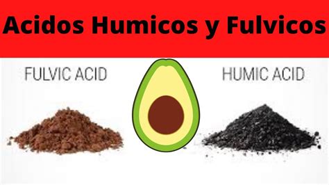 Para Que Sirven Los Acidos Humicos Y Fulvicos En Las Plantas De