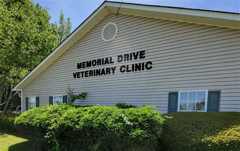 Vet Appointment In Griffin, GA | Memorial Drive Vet Clinic