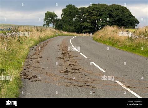 Mud on main road, after tractor coming out of a field with mud on tyres ...