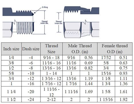 Sae Hydraulic Fitting Sizes