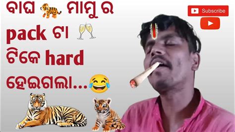 ବାଘ 🐅 ମାମୁ ର Pack🥂ଟା ଟିକେ Hard ହେଇଗଲା 😄😂 Odia Vlog Comedy Vlog Youtube