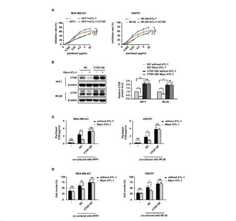 ATL 1 Increased The Sensitivity Of TNBC Cells To Paclitaxel By