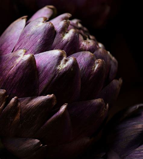 Closeup of a fresh artichoke | Premium Photo - rawpixel