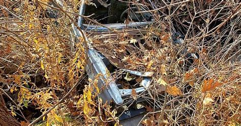 Old Station Wagon Found In The Woods Any Idea Of Make And Model Burlington Ontario Album