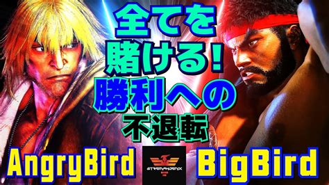 ストリートファイター6 アングリーバード ケン Vs ビッグバード リュウ 全てを賭ける！勝利への不退転！ Sf6 Angrybird