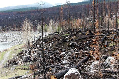 Incendios ‘fuera De Serie Azotan Canadá Mientras Aumentan Las Temperaturas