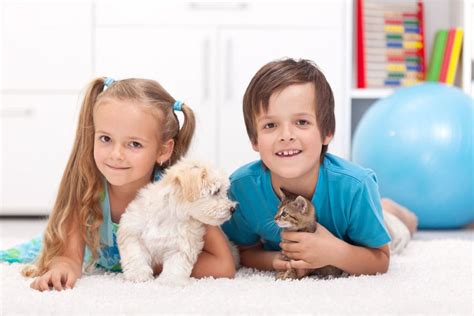 Choosing the Perfect Family Pet: Dogs Vs Cats, Who's Better for Kids ...