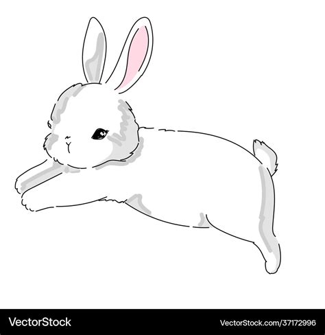 Bunny Jumping Hand Drawn Isolated On White Vector Image