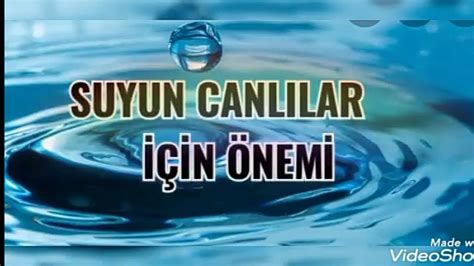 Suyun Canl Lar I In Nemi Youtube