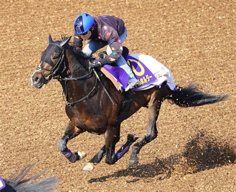 【皐月賞1週前追い】タイトルホルダー、リズム良く快走 田辺「乗り味がいい」― スポニチ Sponichi Annex ギャンブル