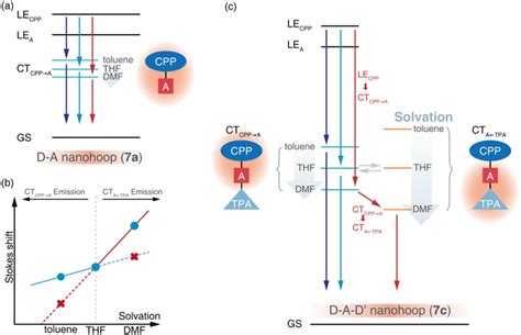 Energy level diagrams illustrating the excited-state dynamics of (a) 7a ...