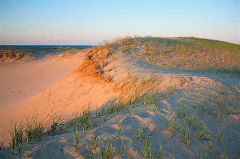 Sand Dunes With Grass Growing Out Of Them