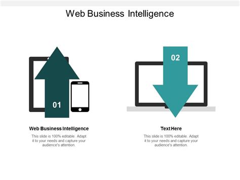 Web Business Intelligence Ppt Powerpoint Presentation Gallery Microsoft Cpb