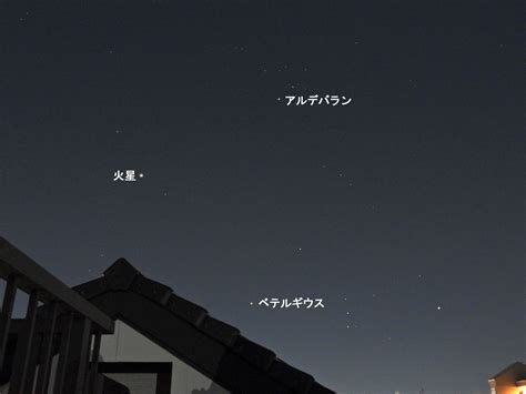 ただ今火星が接近中：達人に訊け！：中日新聞web